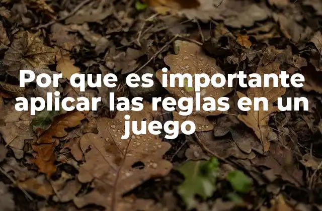 Por que es Importante Aplicar las Reglas en un Juego