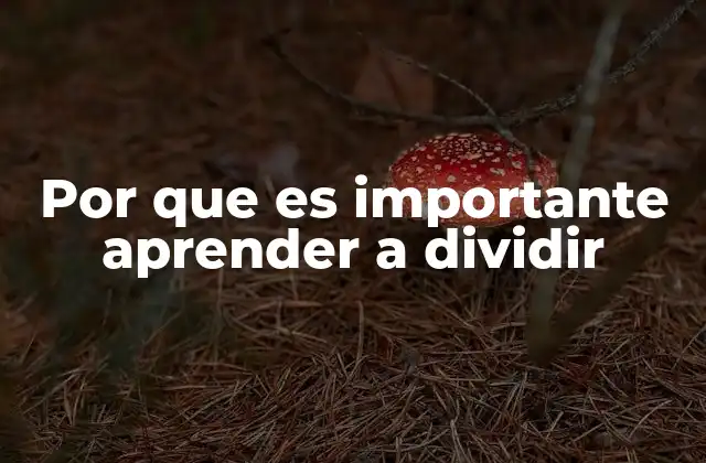 Por que es Importante Aprender a Dividir