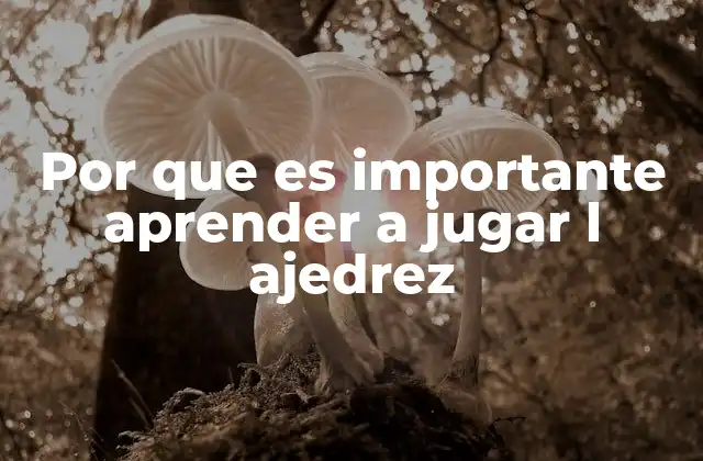 Por que es Importante Aprender a Jugar L Ajedrez