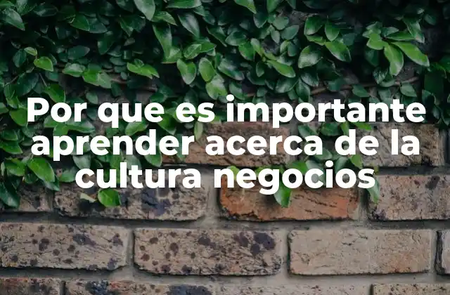 Por que es Importante Aprender Acerca de la Cultura Negocios