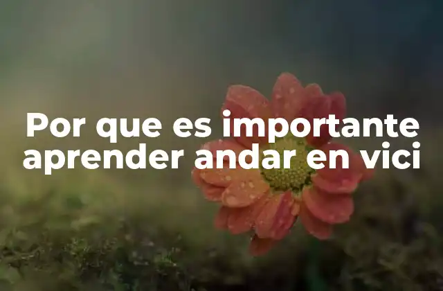 Por que es Importante Aprender Andar en Vici