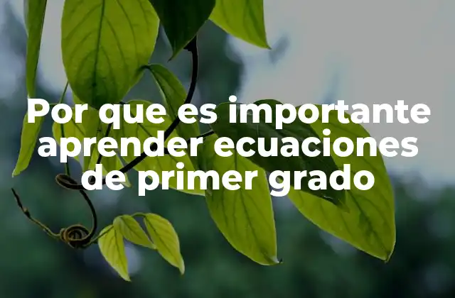 Por que es Importante Aprender Ecuaciones de Primer Grado