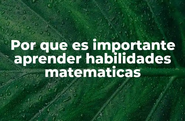 Por que es Importante Aprender Habilidades Matematicas