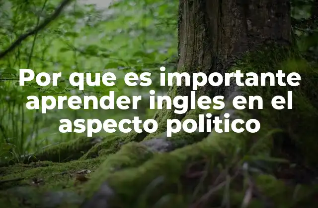 Por que es Importante Aprender Ingles en el Aspecto Politico