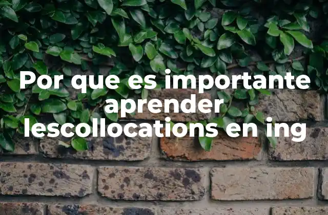 Por que es Importante Aprender Lescollocations en Ing