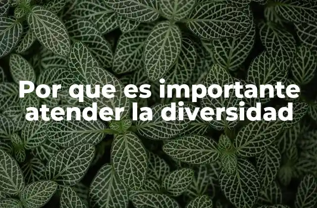 Por que es Importante Atender la Diversidad