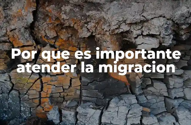 Por que es Importante Atender la Migracion 2 La migración como desafío y oportunidad para los gobiernos
