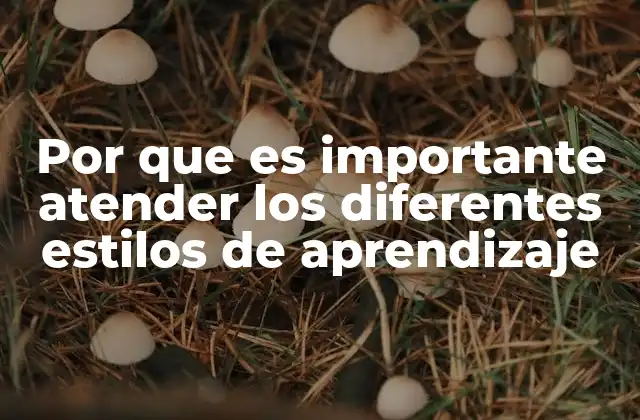 Por que es Importante Atender los Diferentes Estilos de Aprendizaje 2 Cómo reconocer la diversidad cognitiva en el aula