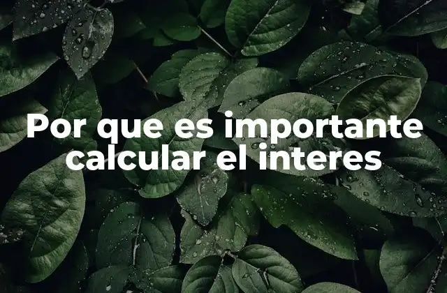 Por que es Importante Calcular el Interes 2 Cómo el cálculo del interés impacta en la toma de decisiones financieras