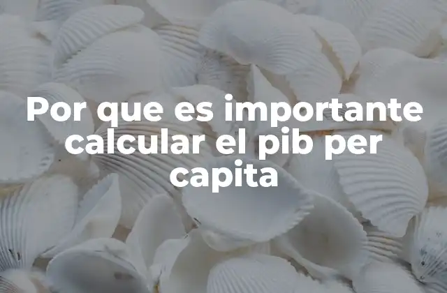 Por que es Importante Calcular el Pib Per Capita