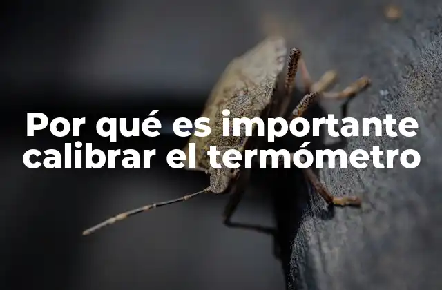 La importancia de una medición precisa en la vida cotidiana