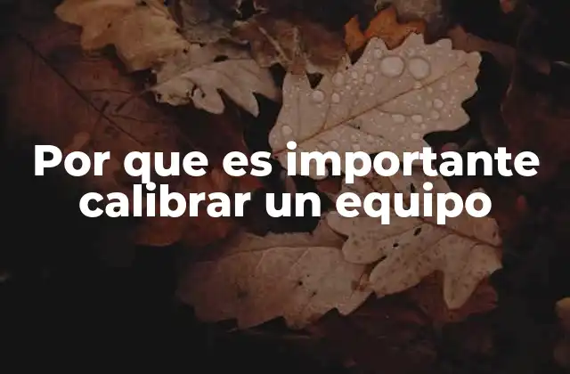 Por que es Importante Calibrar un Equipo 2 La importancia de mantener la precisión en los procesos industriales