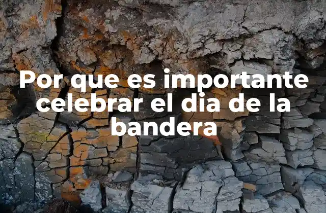 Por que es Importante Celebrar el Dia de la Bandera