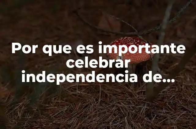 Por que es Importante Celebrar Independencia de Mexico