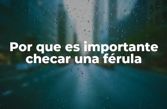 Por que es Importante Checar una Férula 2 Mantener la salud oral a través de revisiones periódicas