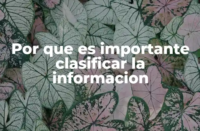 Por que es Importante Clasificar la Informacion