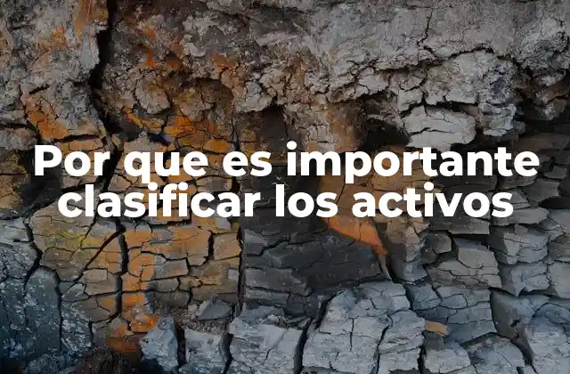 Por que es Importante Clasificar los Activos