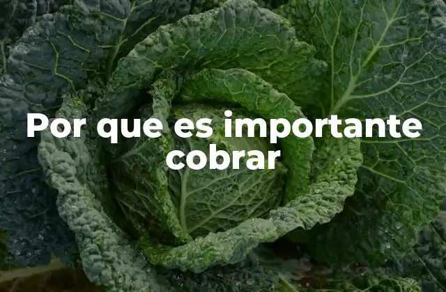 Por que es Importante Cobrar