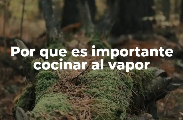 Por que es Importante Cocinar Al Vapor