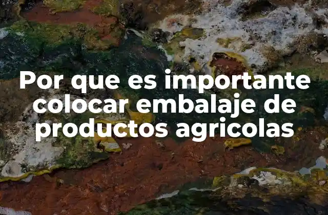 Por que es Importante Colocar Embalaje de Productos Agricolas