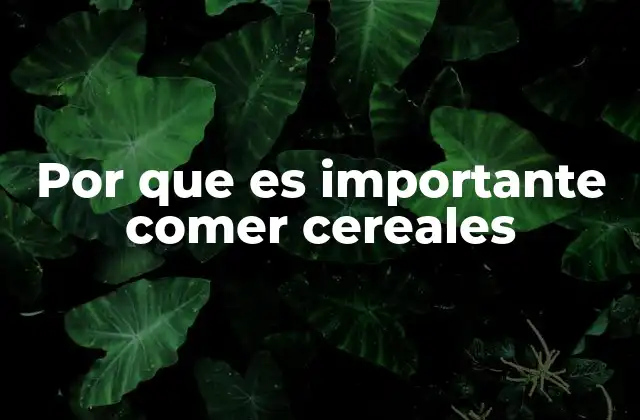 Por que es Importante Comer Cereales 2 La base de una alimentación equilibrada