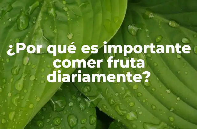 ¿por Qué es Importante Comer Fruta Diariamente?