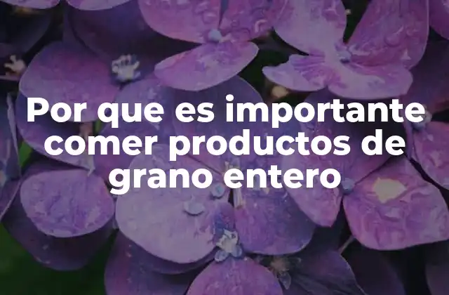 Por que es Importante Comer Productos de Grano Entero
