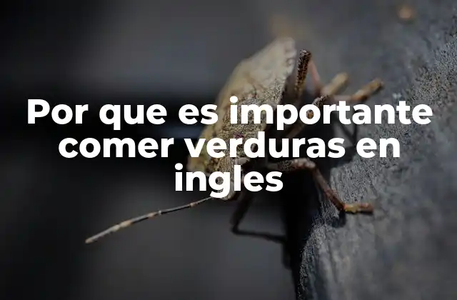 Por que es Importante Comer Verduras en Ingles
