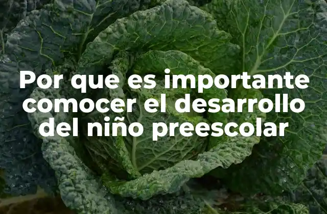 Por que es Importante Comocer el Desarrollo Del Niño Preescolar