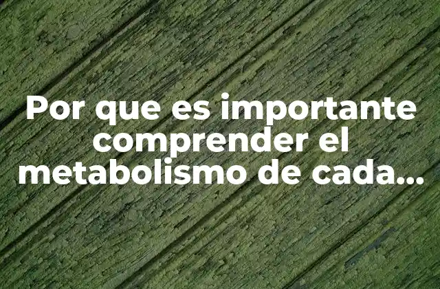 Por que es Importante Comprender el Metabolismo de Cada Macronutriente