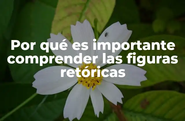 Por Qué es Importante Comprender las Figuras Retóricas