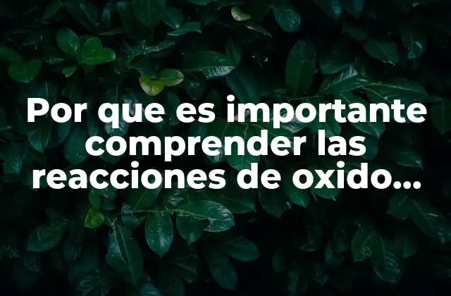 Por que es Importante Comprender las Reacciones de Oxido Reduccion