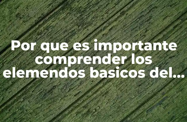 Por que es Importante Comprender los Elemendos Basicos Del Dibujo