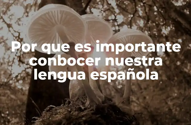 Por que es Importante Conbocer Nuestra Lengua Española