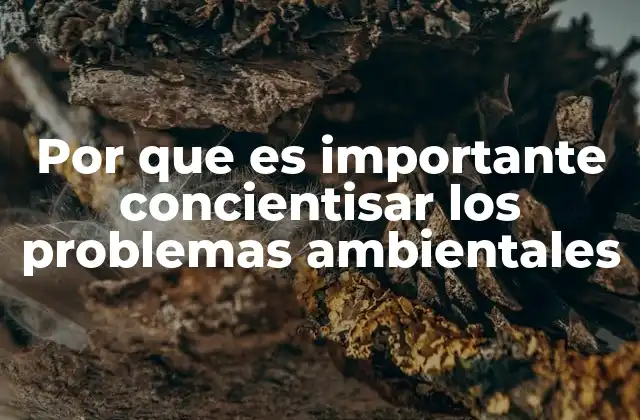 Por que es Importante Concientisar los Problemas Ambientales