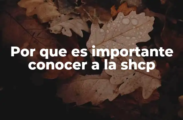 El impacto de la SHCP en la economía nacional