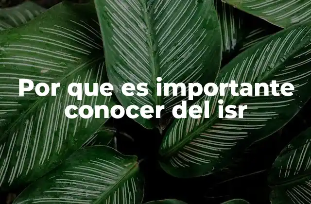 Por que es Importante Conocer Del Isr
