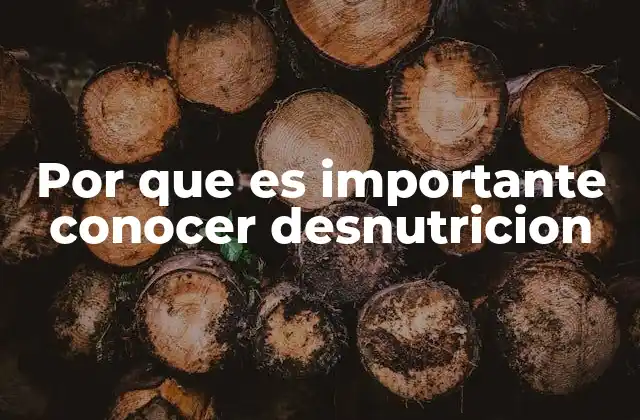 La relevancia de la educación nutricional en la prevención de la desnutrición
