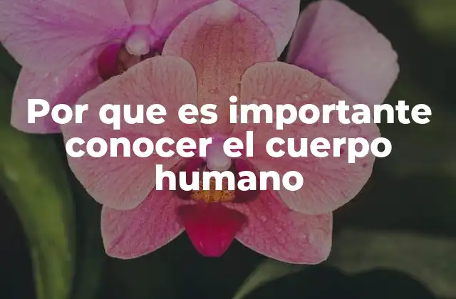 Por que es Importante Conocer el Cuerpo Humano