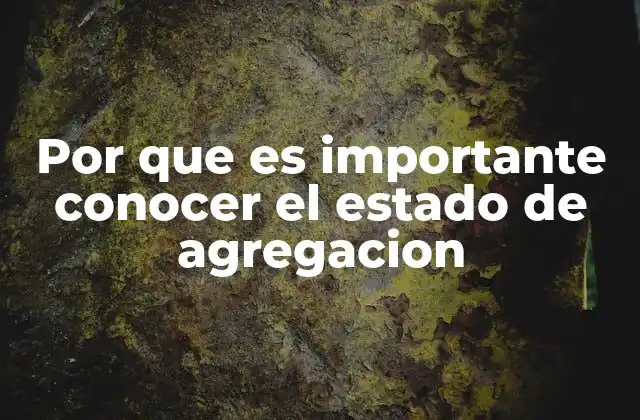 Por que es Importante Conocer el Estado de Agregacion