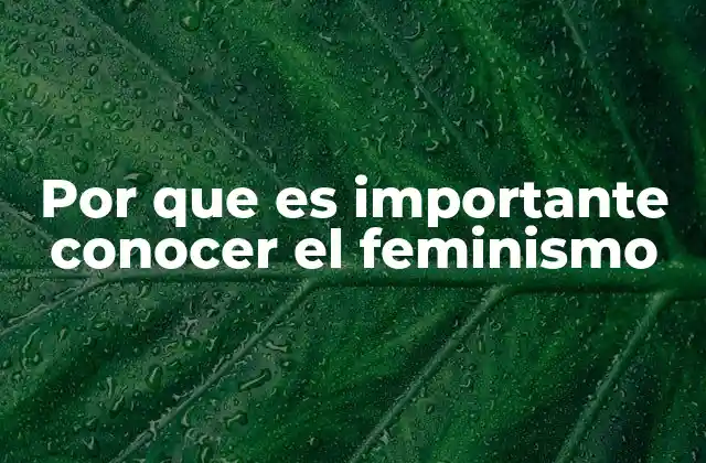 Por que es Importante Conocer el Feminismo