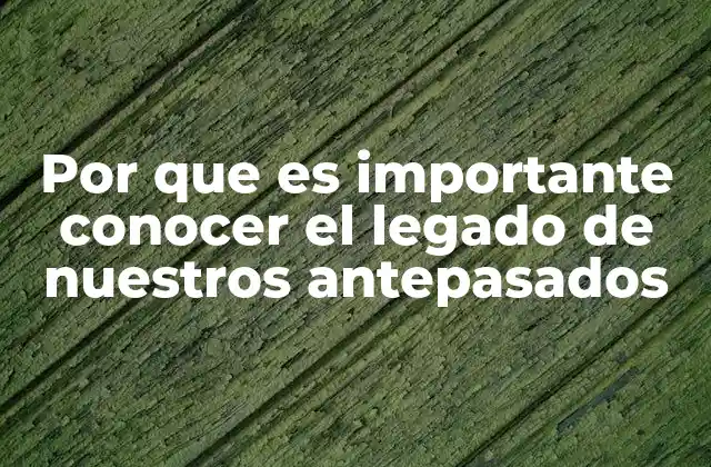 Por que es Importante Conocer el Legado de Nuestros Antepasados