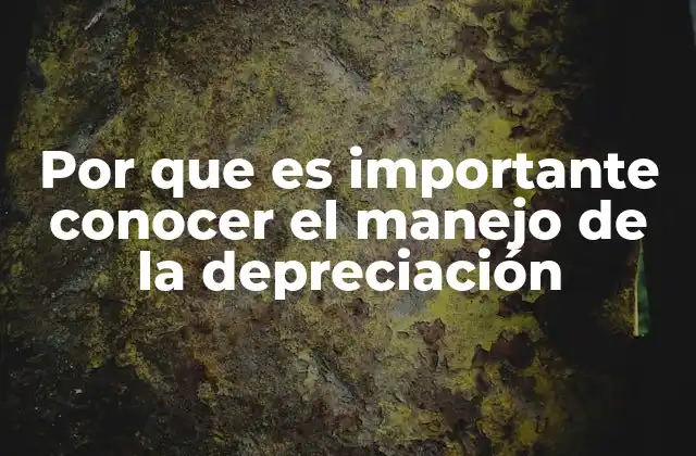 Por que es Importante Conocer el Manejo de la Depreciación