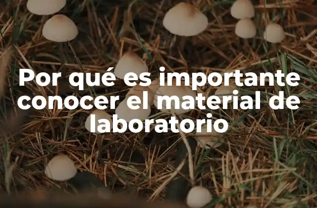 Por Qué es Importante Conocer el Material de Laboratorio