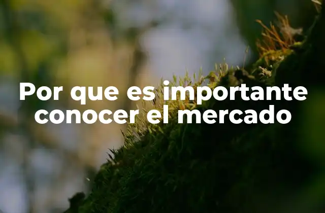 Por que es Importante Conocer el Mercado