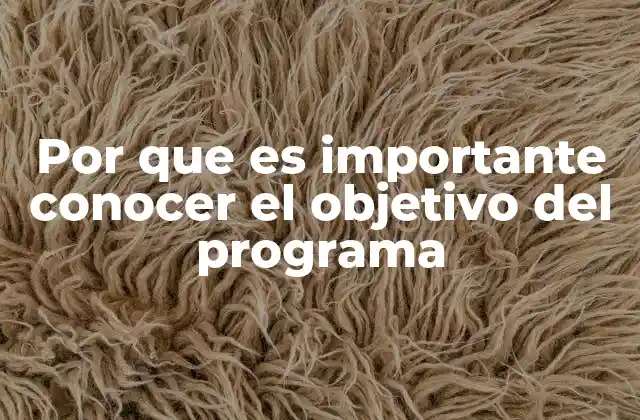 Por que es Importante Conocer el Objetivo Del Programa