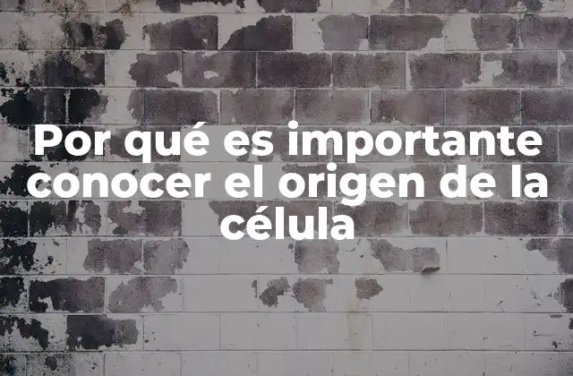 Por Qué es Importante Conocer el Origen de la Célula