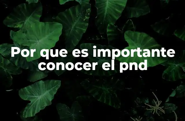 Por que es Importante Conocer el Pnd