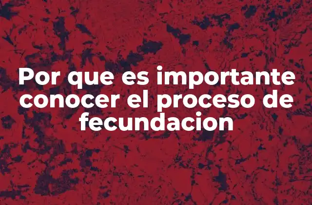 Por que es Importante Conocer el Proceso de Fecundacion