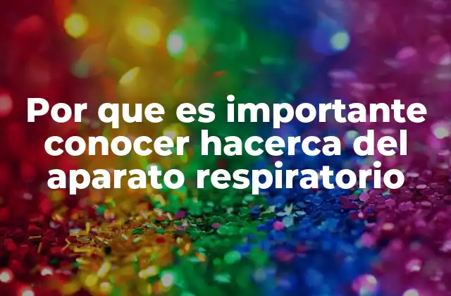 El sistema respiratorio y su papel en la salud general